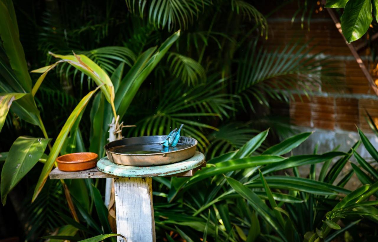 Ninho Do Canarinho Campo Grande  Exteriér fotografie